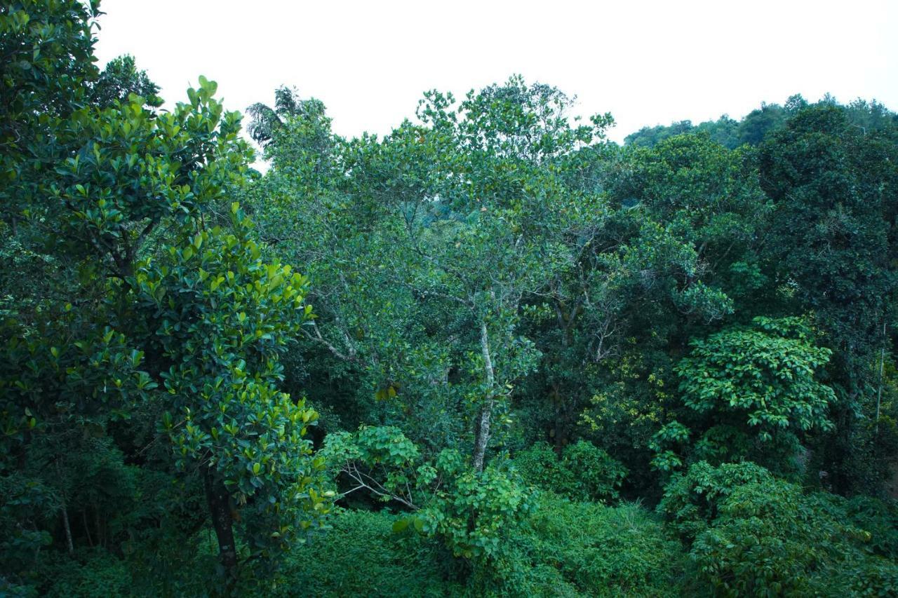 Lamond Holidays Munnar Bagian luar foto